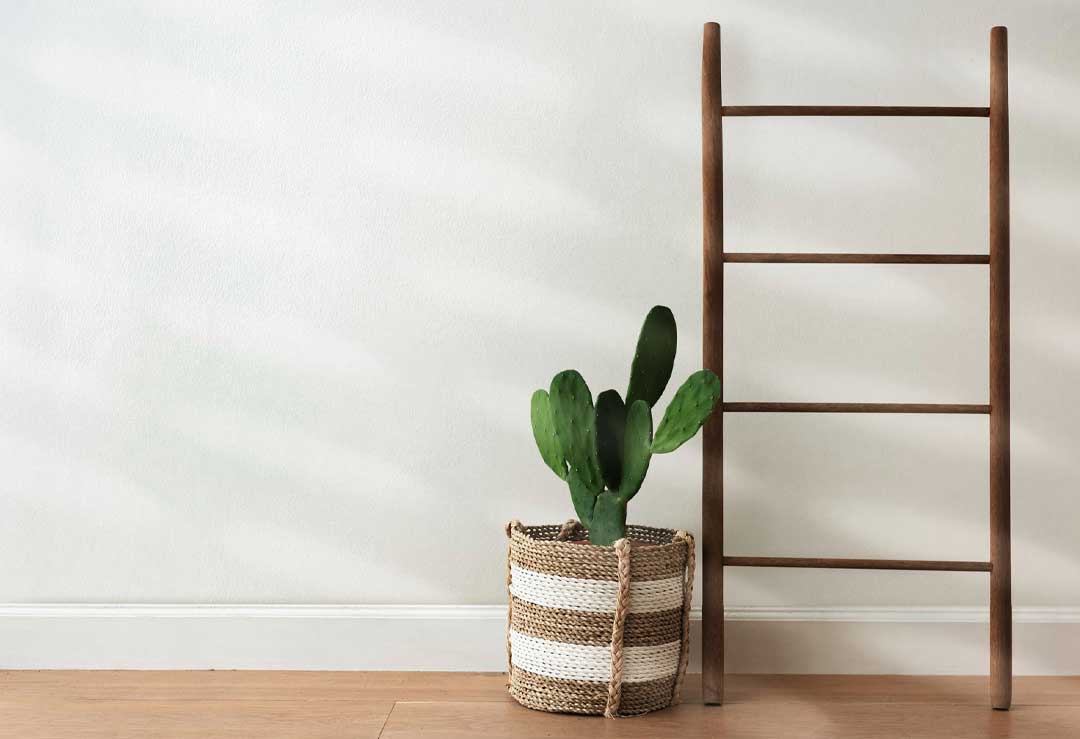 entreprise peinture caen CP peinture